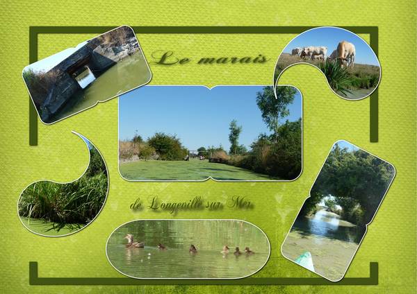 Realisation_du_04-12-132
