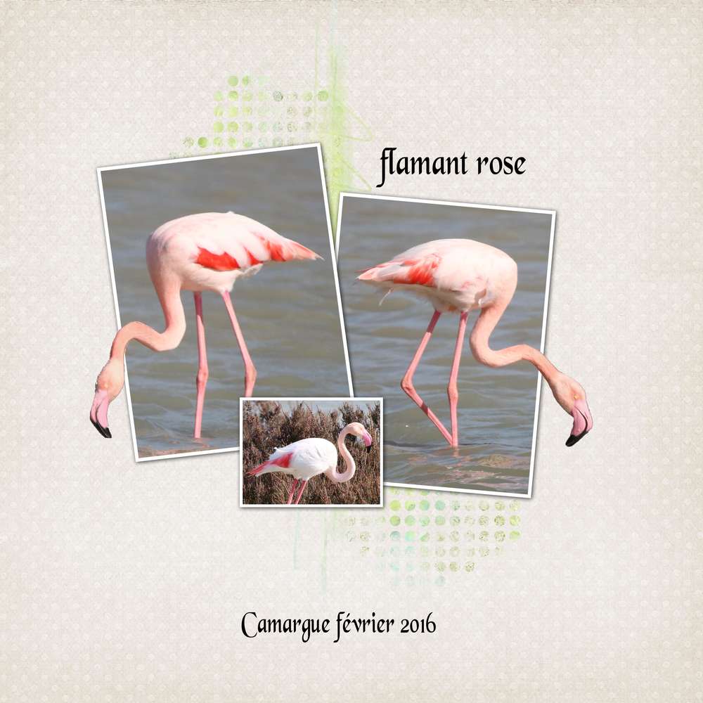 Realisation_du_05-03-161