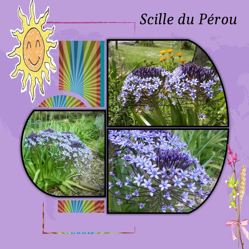 Realisation_du_06-05-19