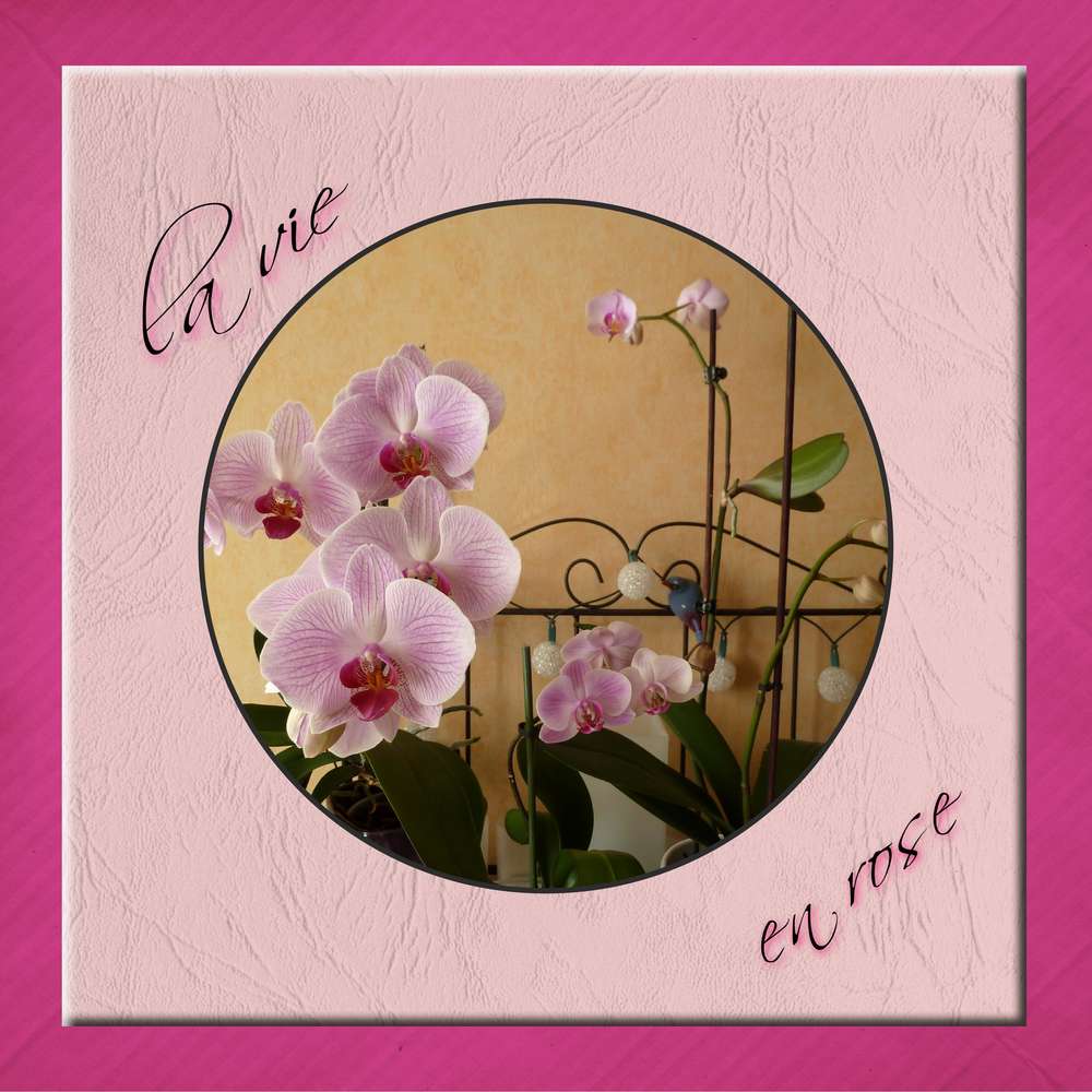 Realisation_du_07-07-19