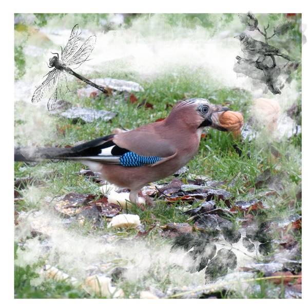 Realisation_du_09-02-143