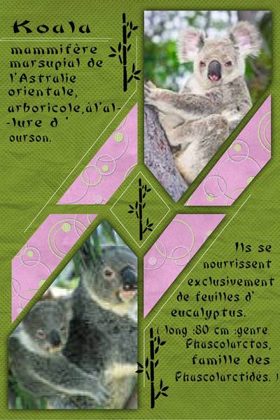 Realisation_du_09-04-13_le_koala