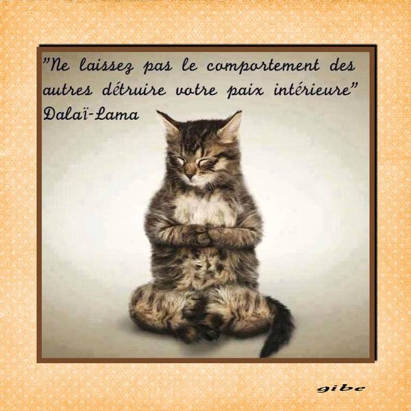 Realisation_du_10-05-141