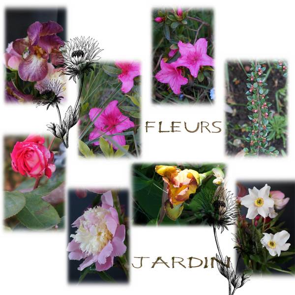 Realisation_du_11-05-14fleurs_du__jardin