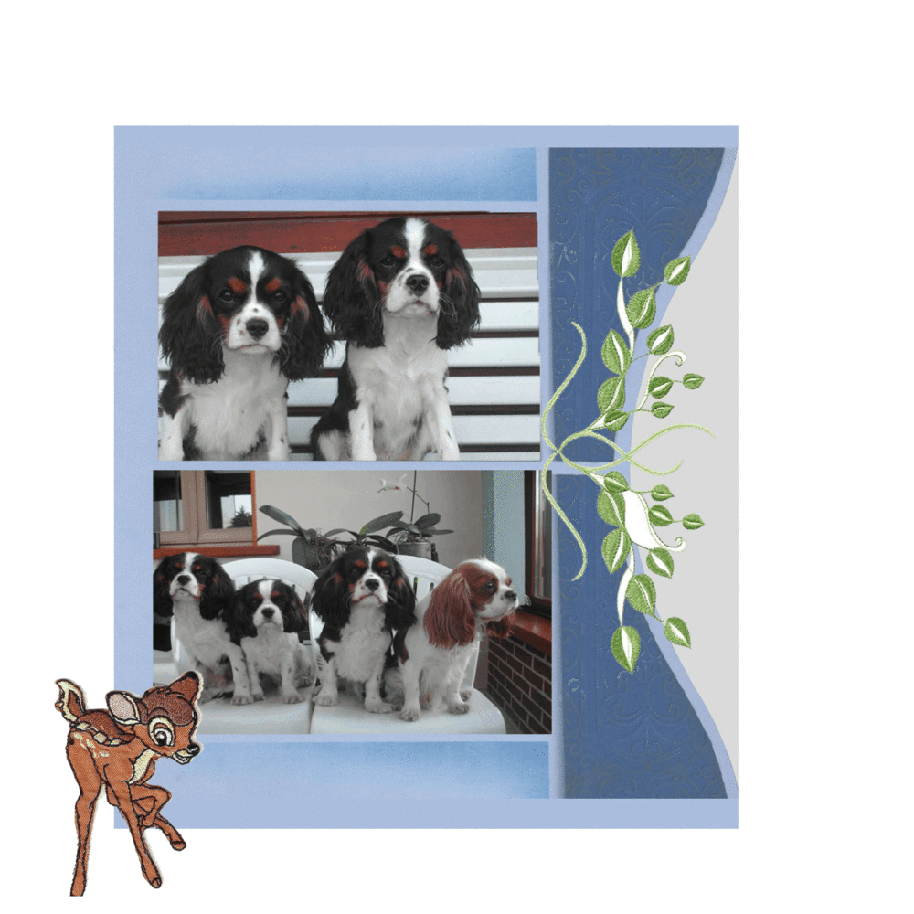 Realisation_du_12-10-17