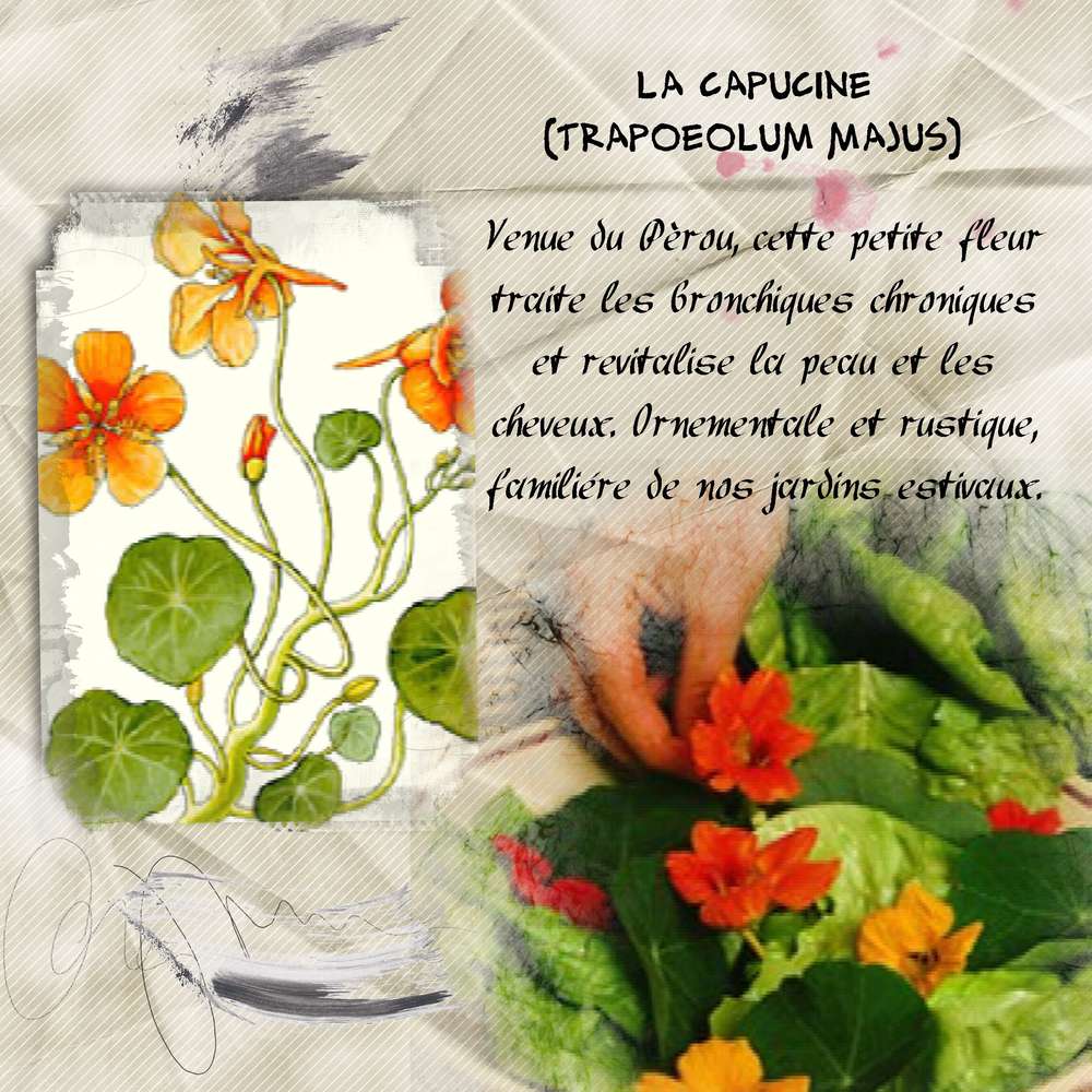 Realisation_du_15-06-16