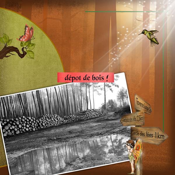 Realisation_du_16-03-14__d__pot_de_bois___