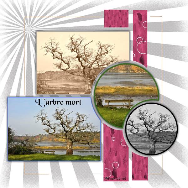 Realisation_du_16-03-14_l_arbre_mort