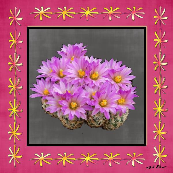 Realisation_du_17-02-143