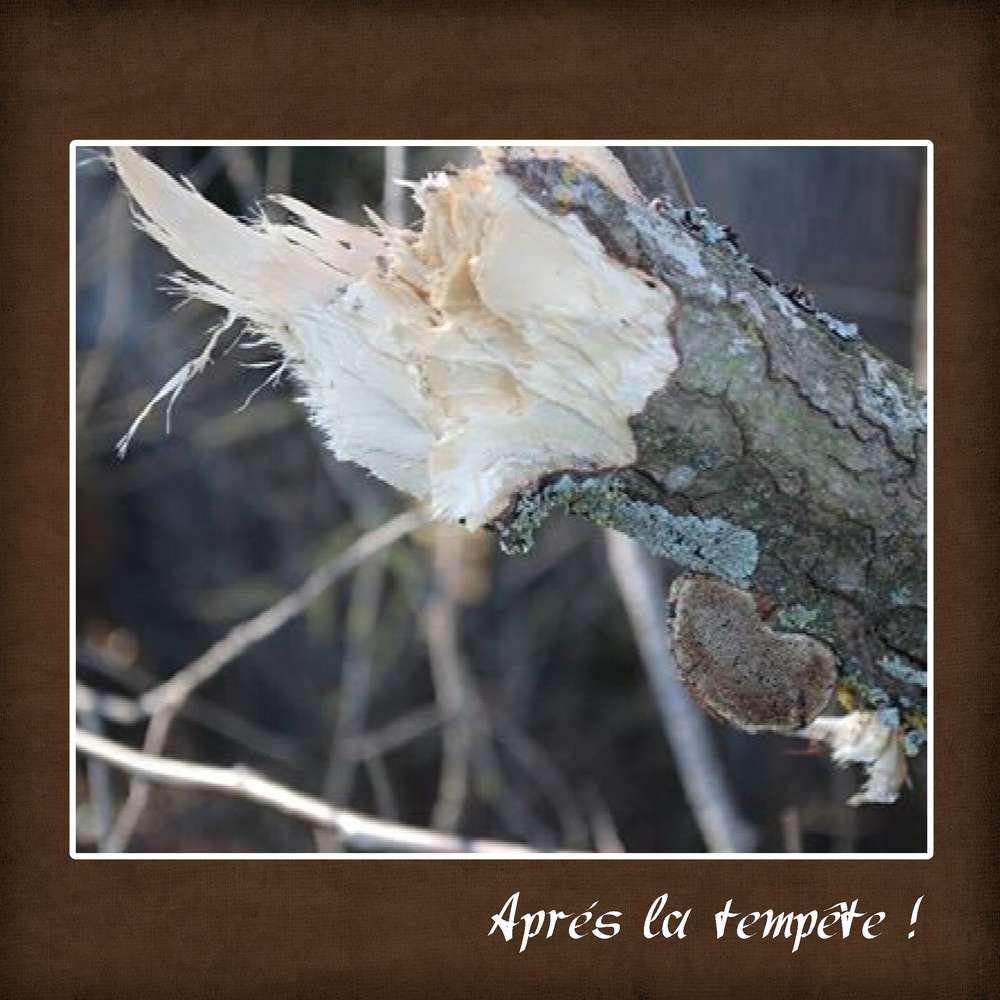 Realisation_du_20-02-161