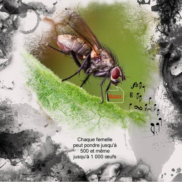 Realisation_du_21-09-14bzzzz