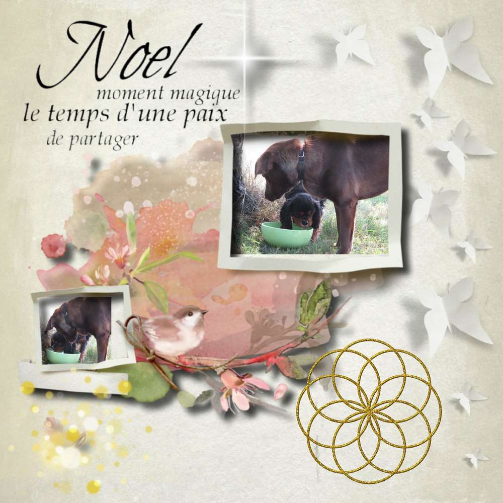 Realisation_du_21-12-161