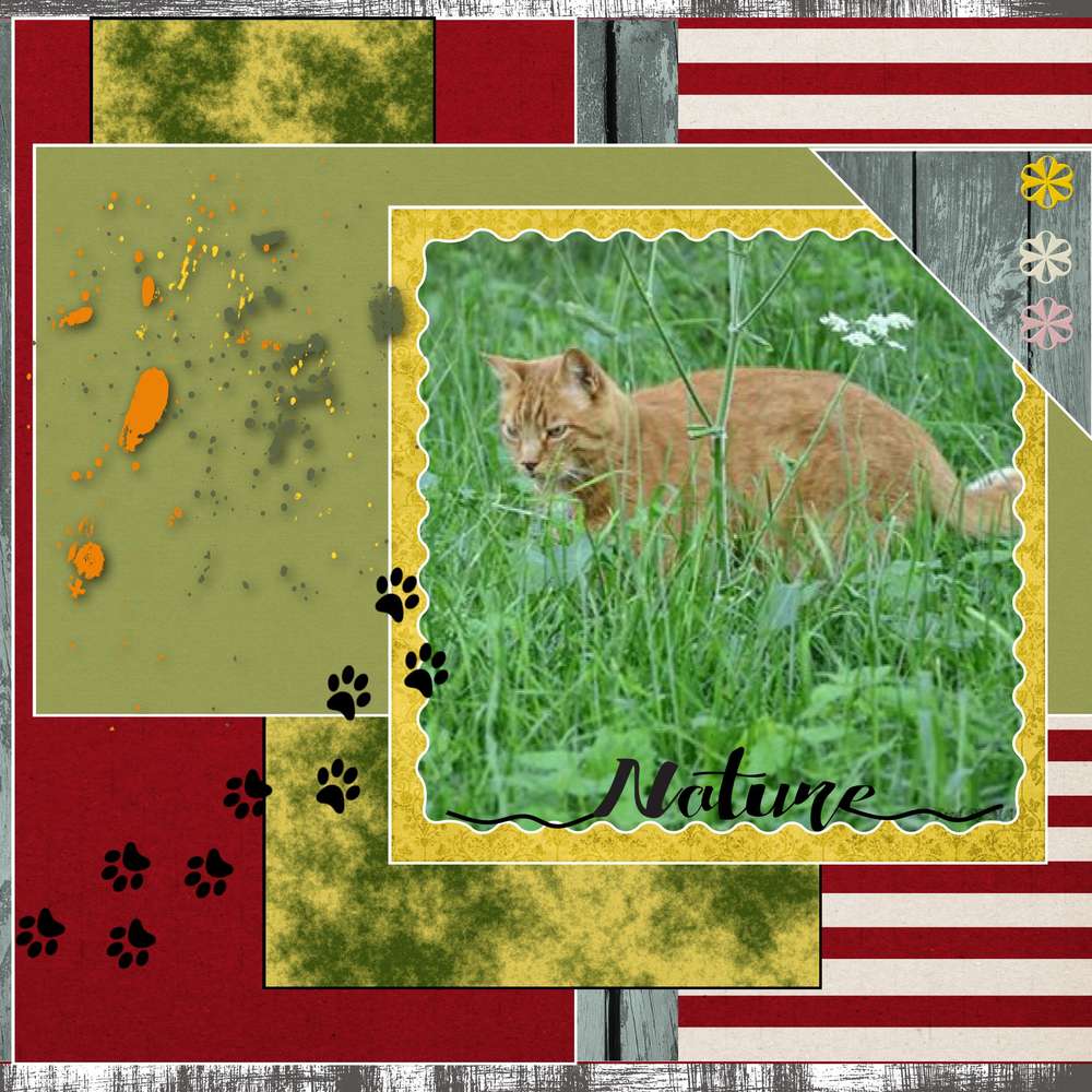 Realisation_du_23-03-17