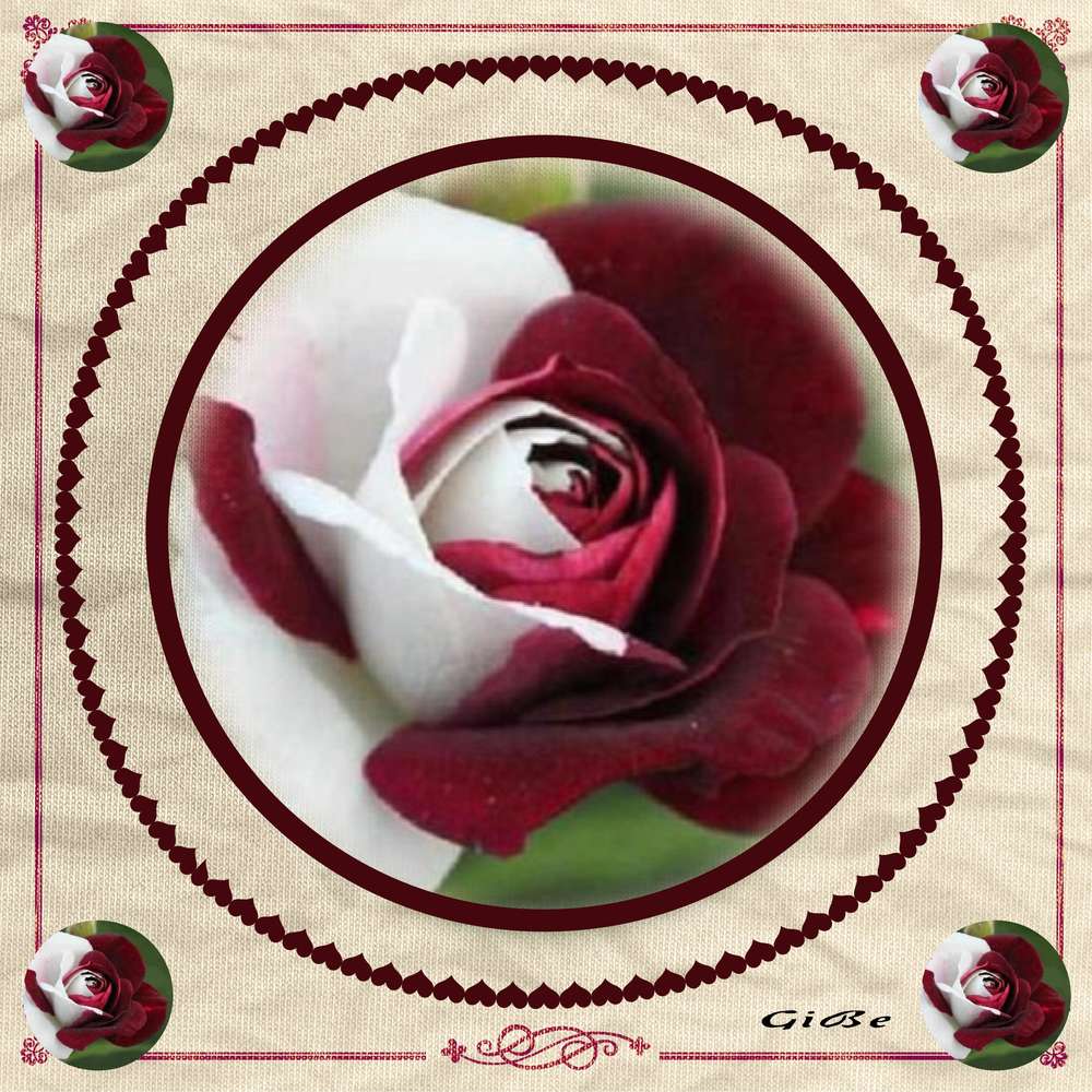 Realisation_du_23-10-19