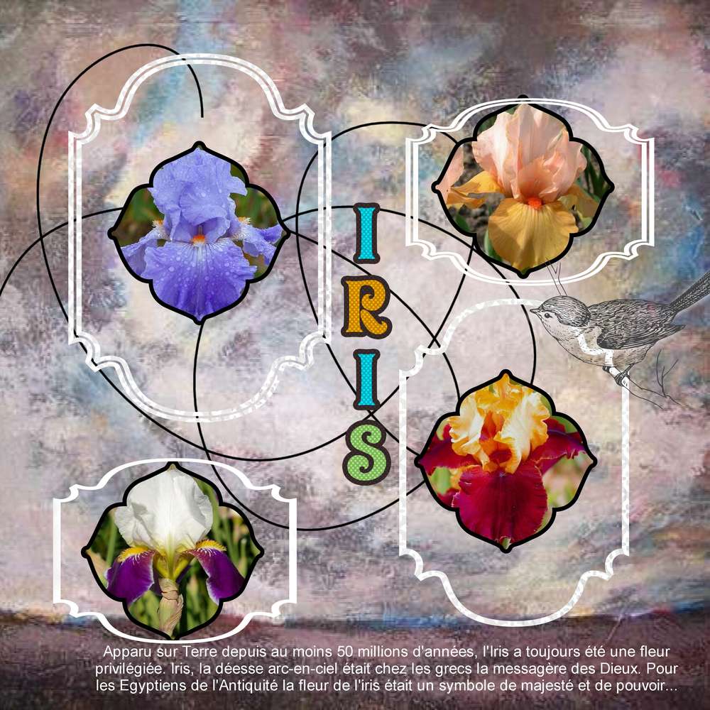 Realisation_du_24-01-16