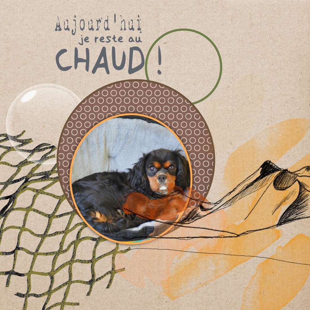 Realisation_du_25-02-17