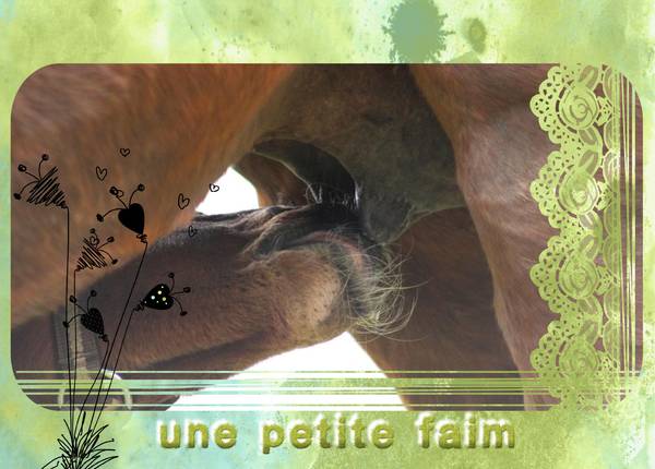 Realisation_du_26-03-14__une_petite_faim