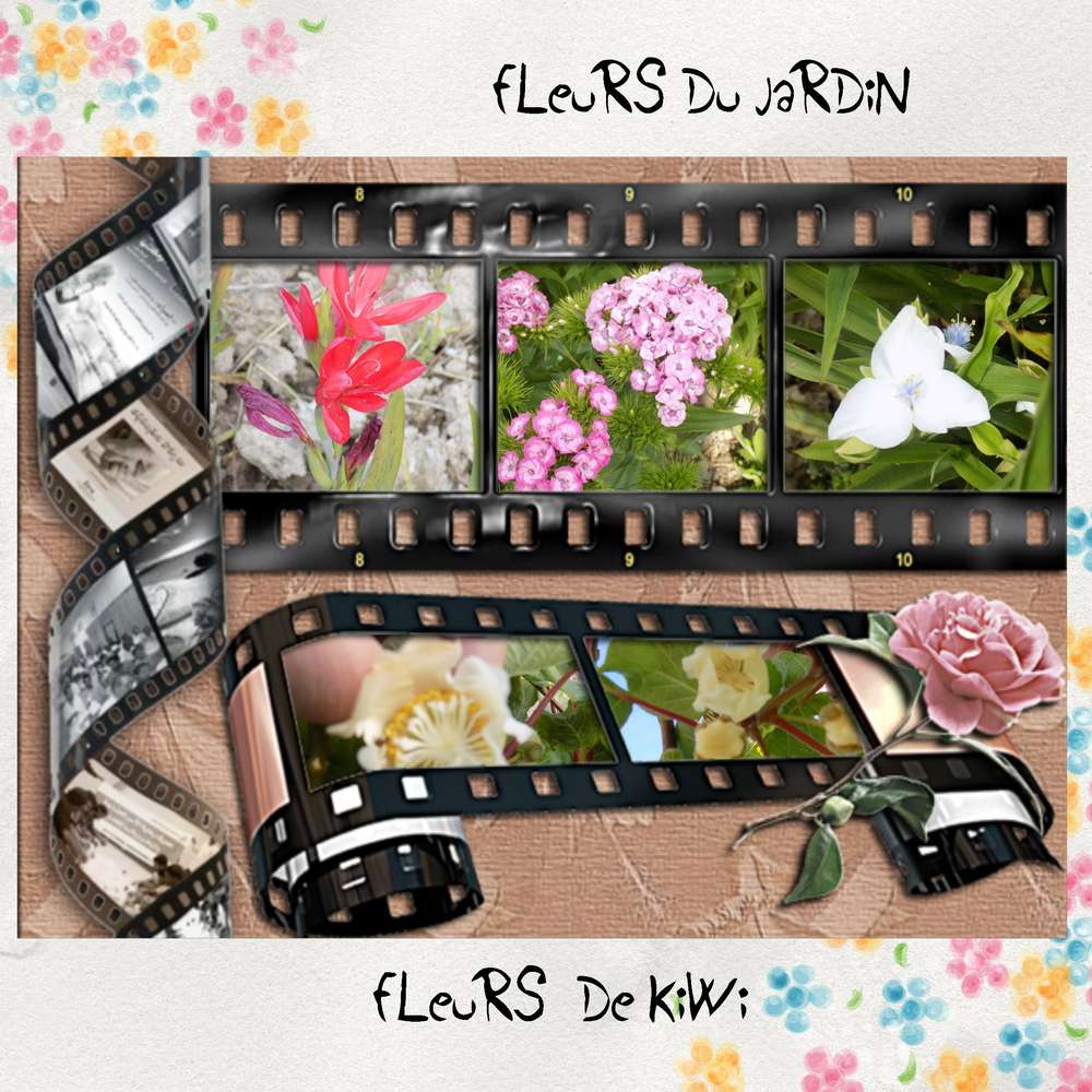 Realisation_du_28-01-16