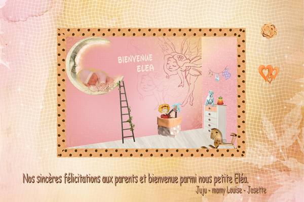 Realisation_du_29-01-14__la_naissance_d__une_petite_El__a