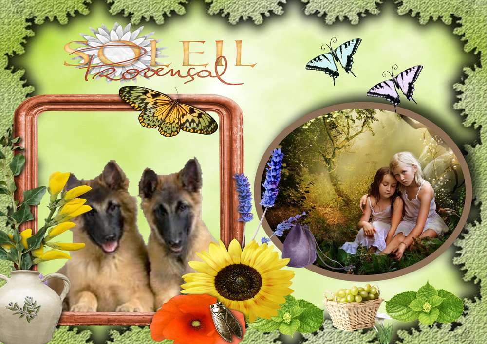 Realisation_du_29-12-191