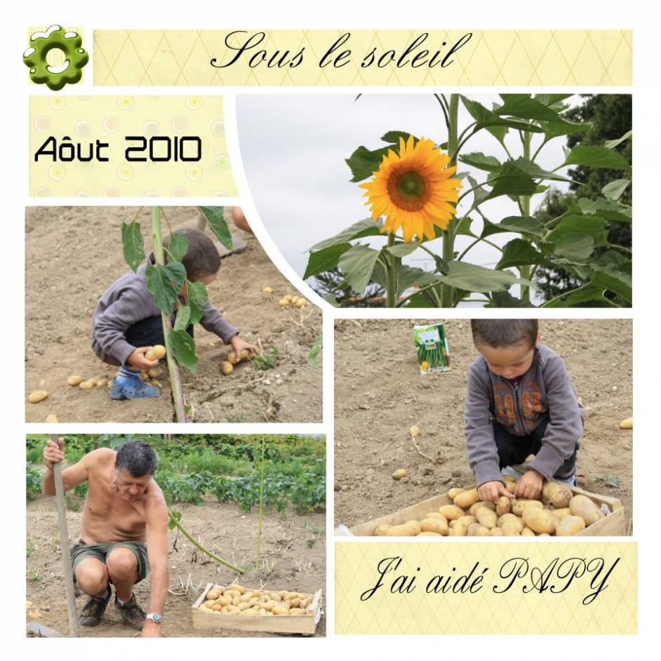 récolte de pd terre 2010