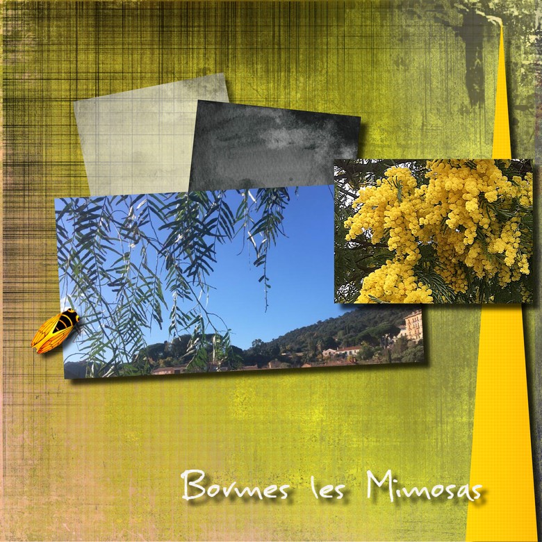 rectification images  postée hier suite au conseil deMoMo77 pour  bormes lesmimosas challenge MMR rectific.jpg