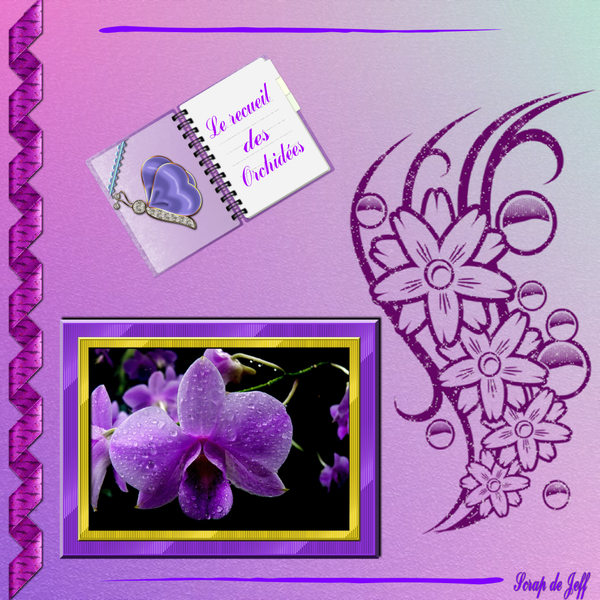 Recueil des orchidées