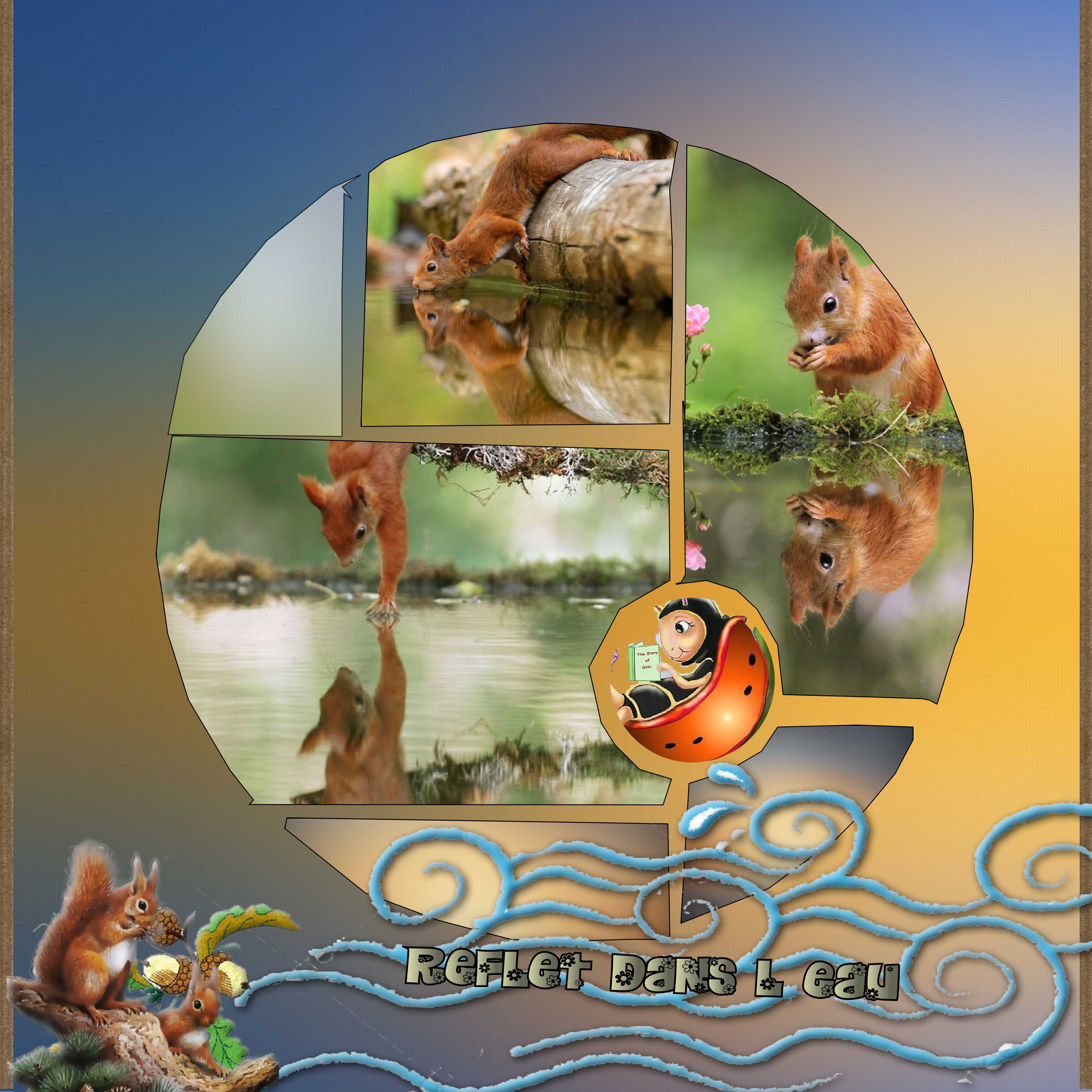 reflet dans l'eau.jpg