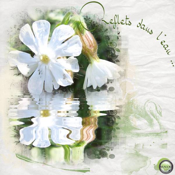 Reflets dans l'eau ...