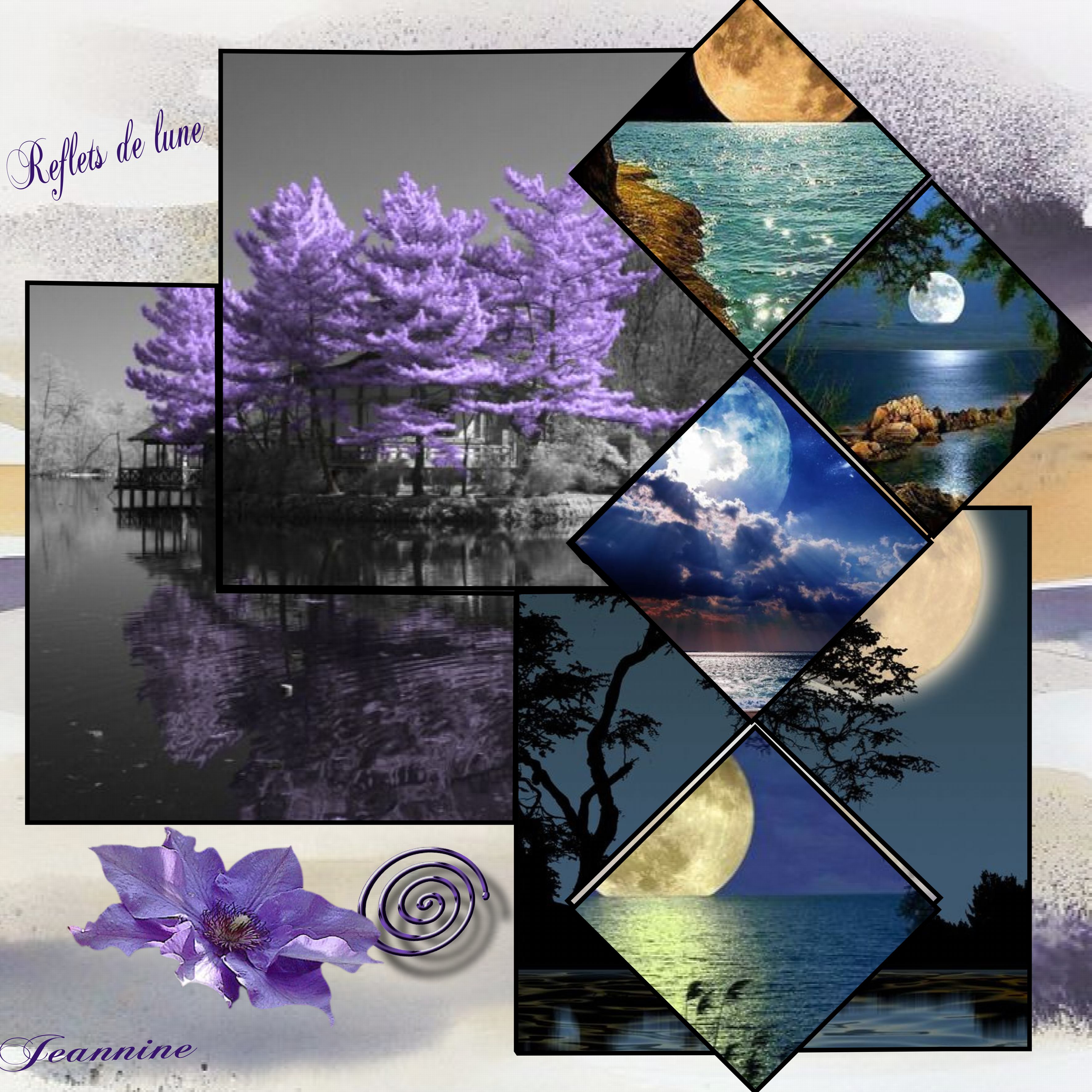 Reflets de lune    par Jeannine .jpg