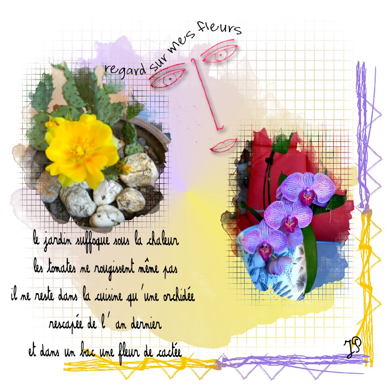 regard sur mes fleurs pour mds.jpg