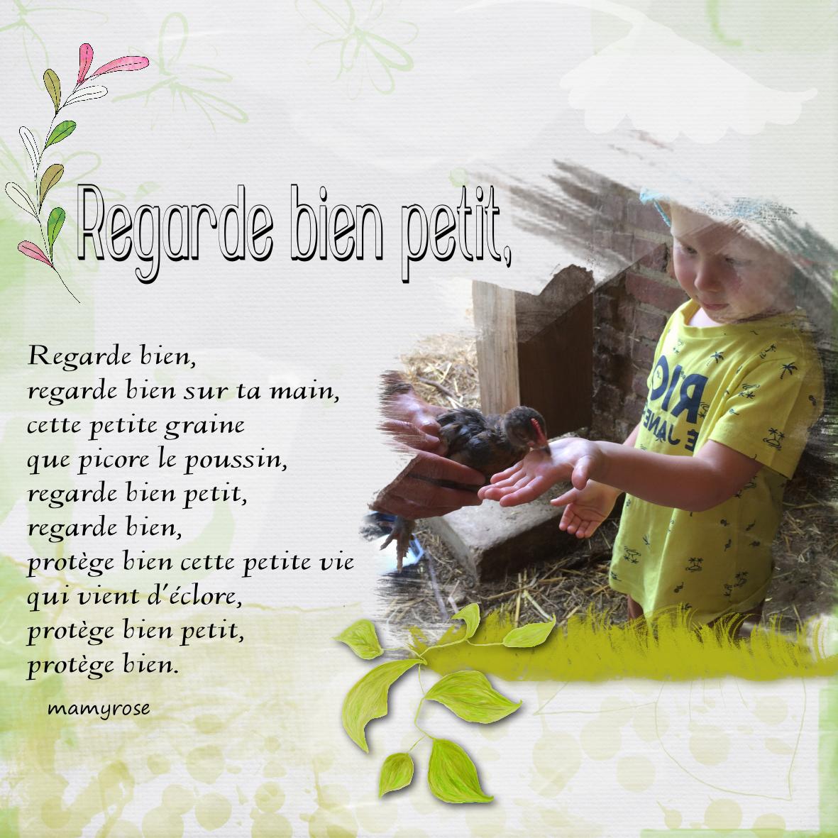 regarde.jpg