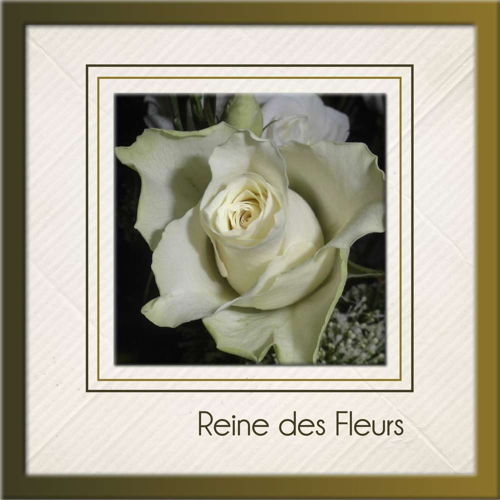 REINE DES FLEURS