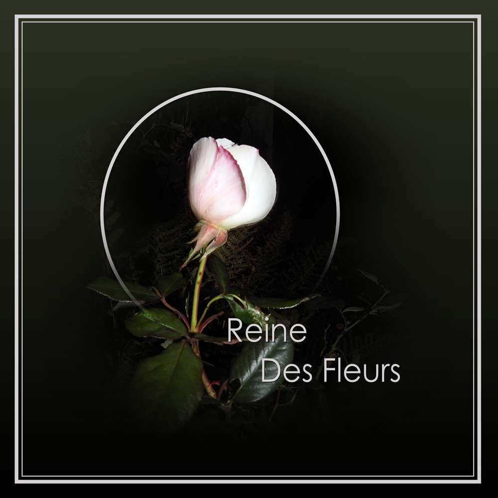 REINE DES FLEURS