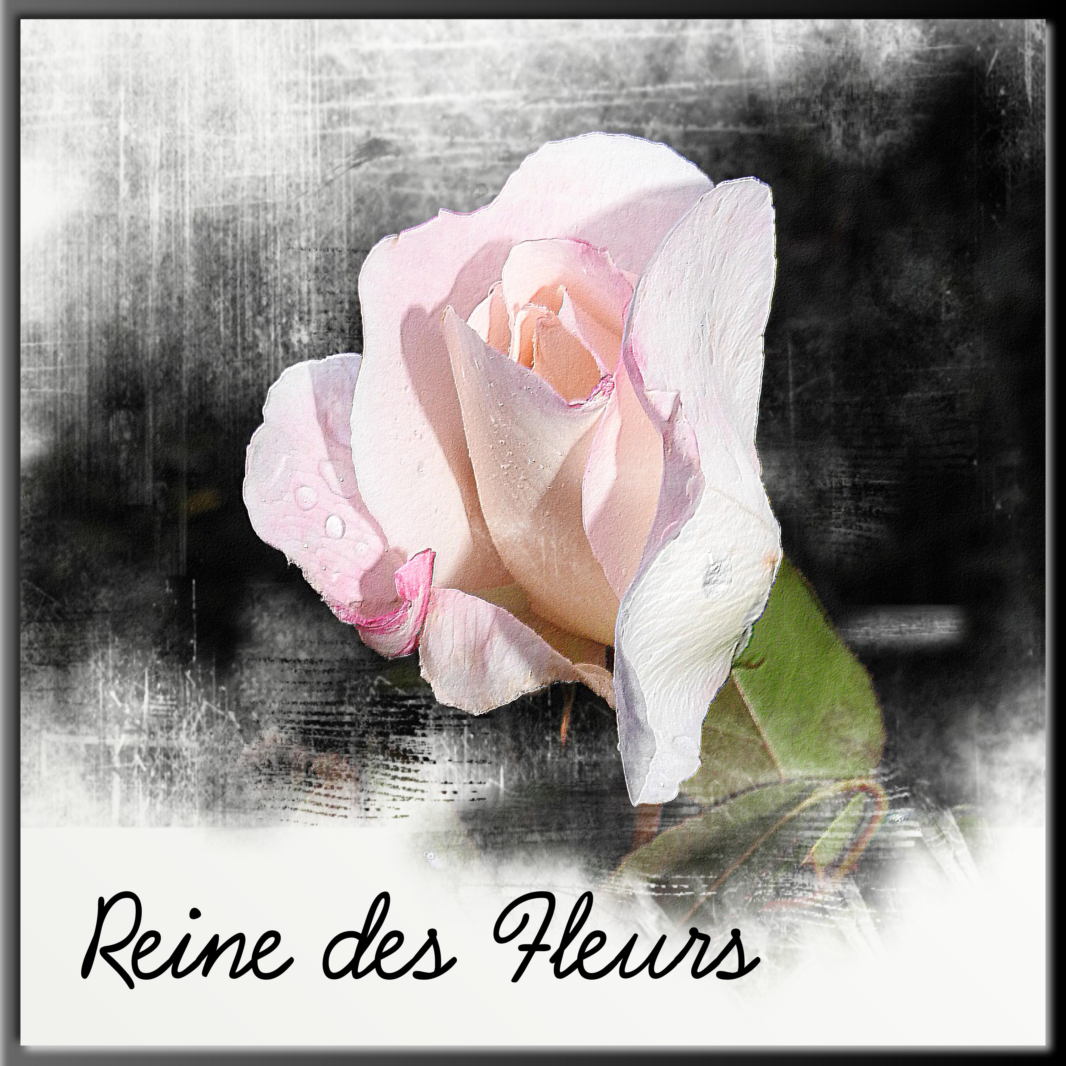 REINE DES FLEURS