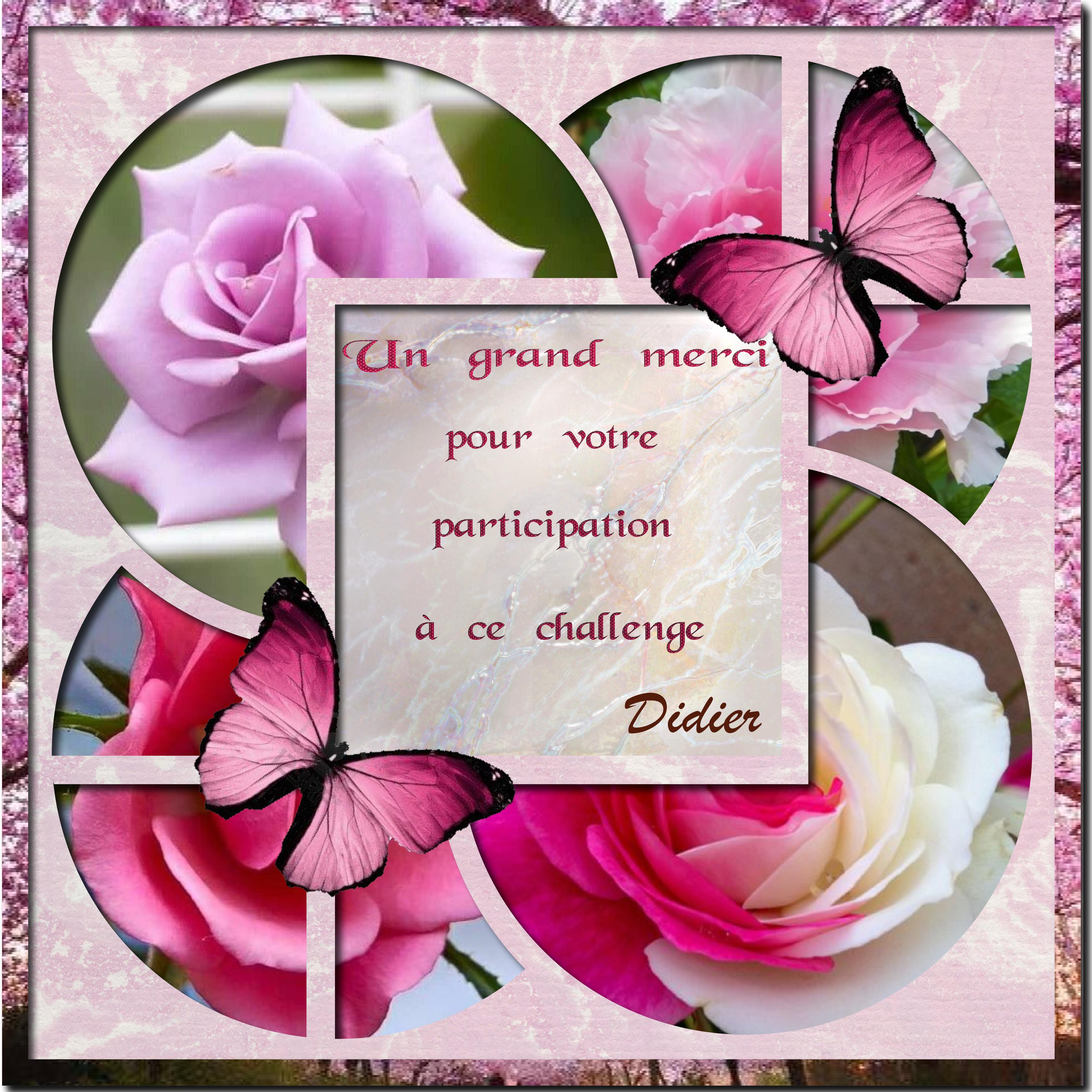 remerciement  au challenge.jpg