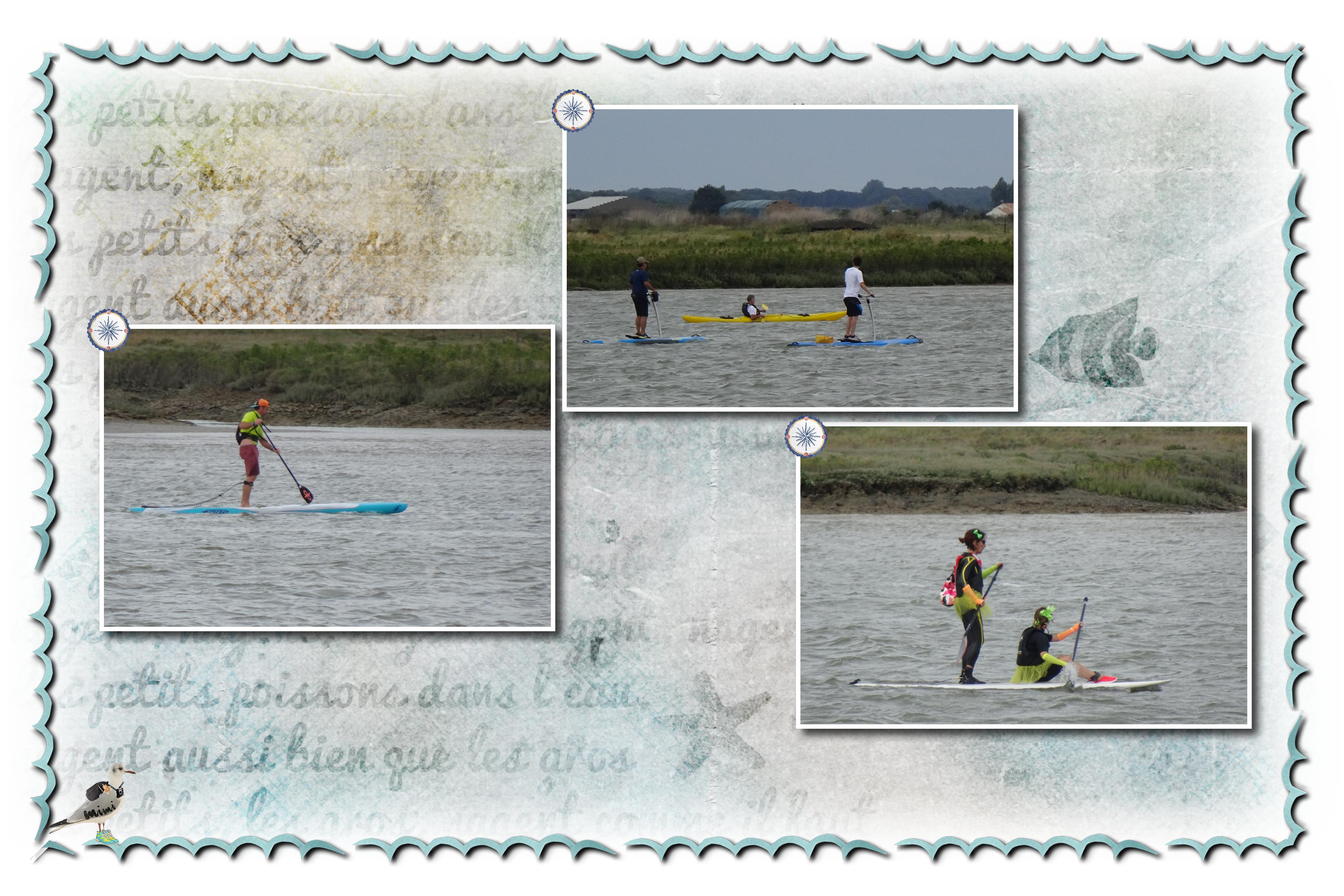 remontée de la Seudre paddle