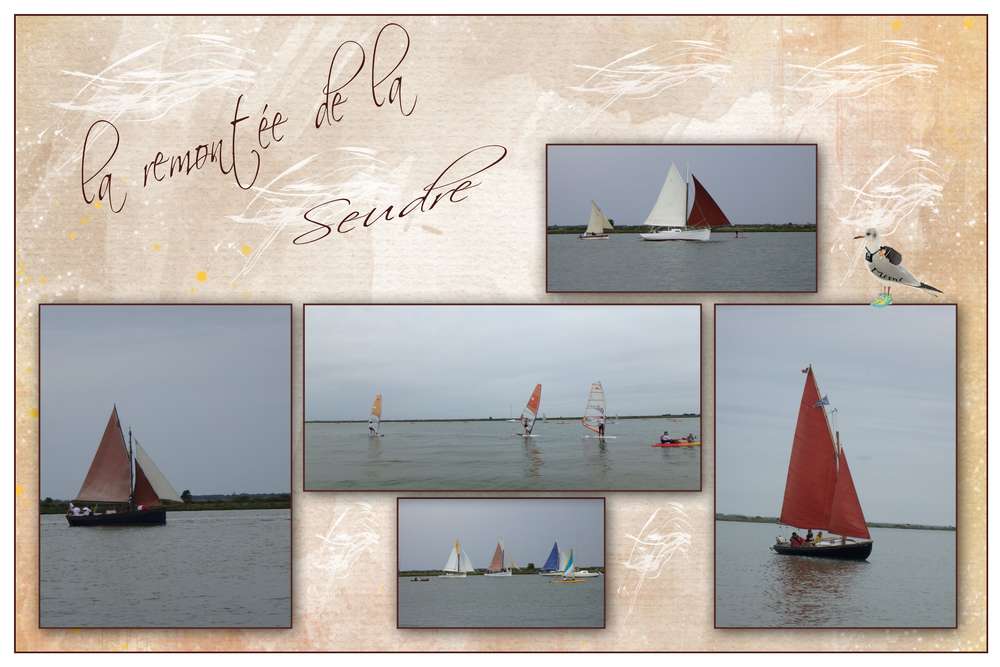 remontée de la Seudre1