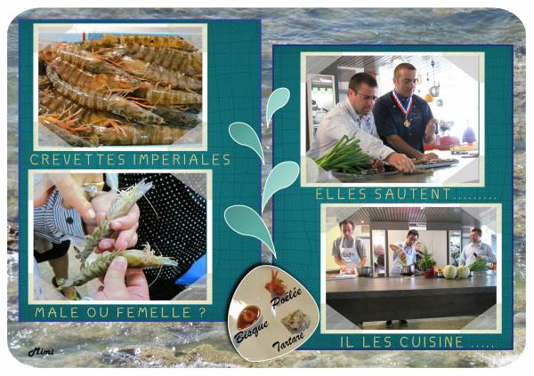 Rencontres Iodées 2