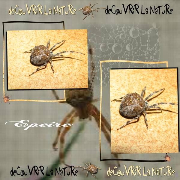 Réponse défi Petiote