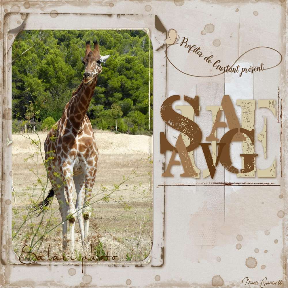 RESERVE AFRICAINE DE SIGEAN 1