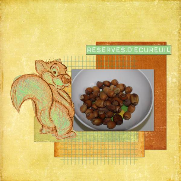 Réserve d'écureuil