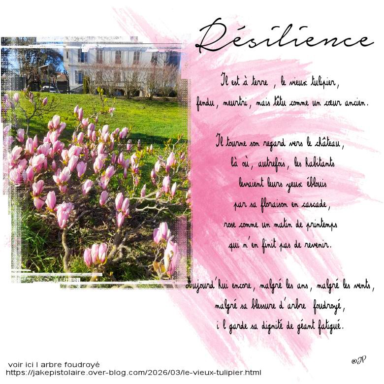 résilience.jpg