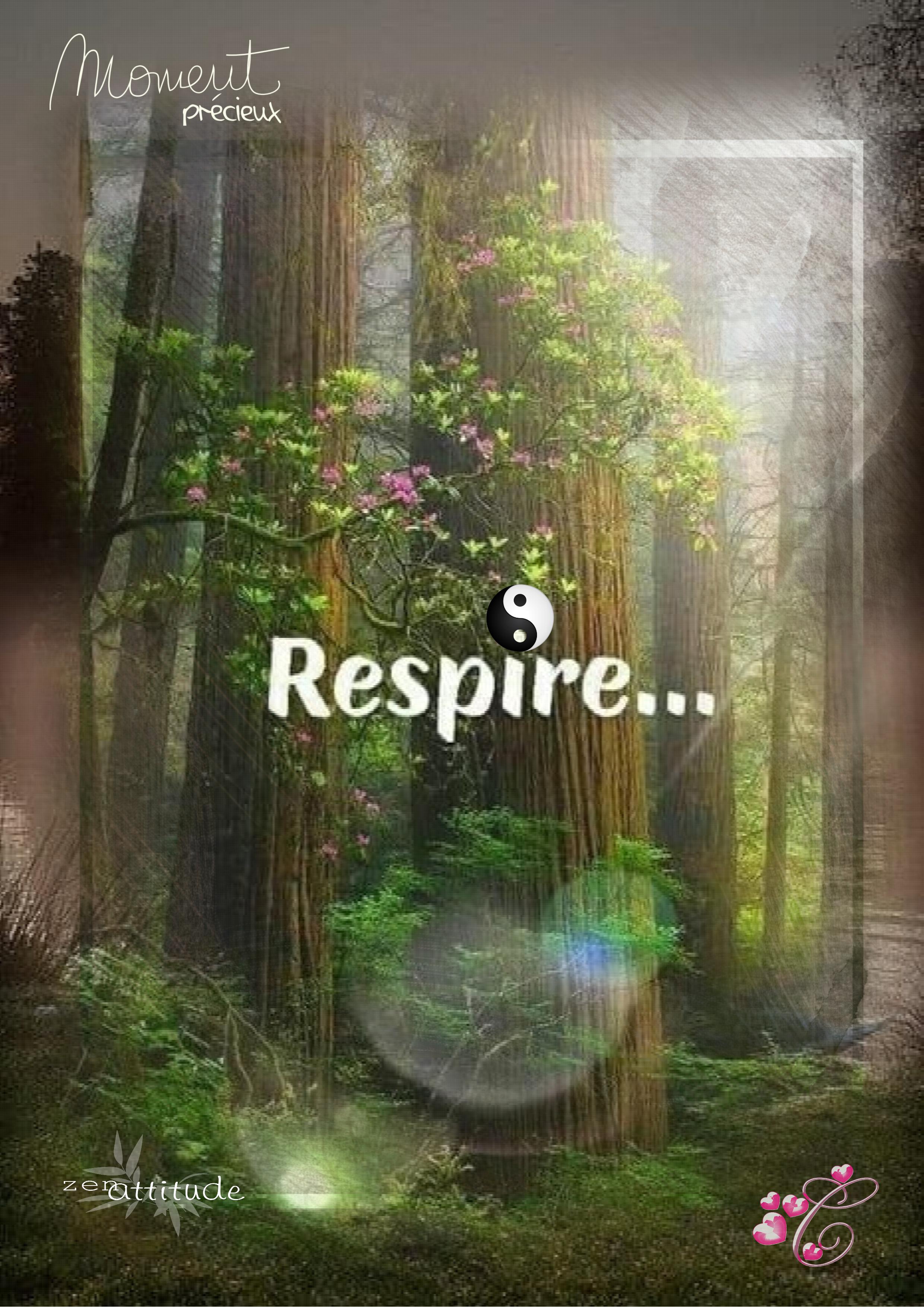 Respire Christine.jpg