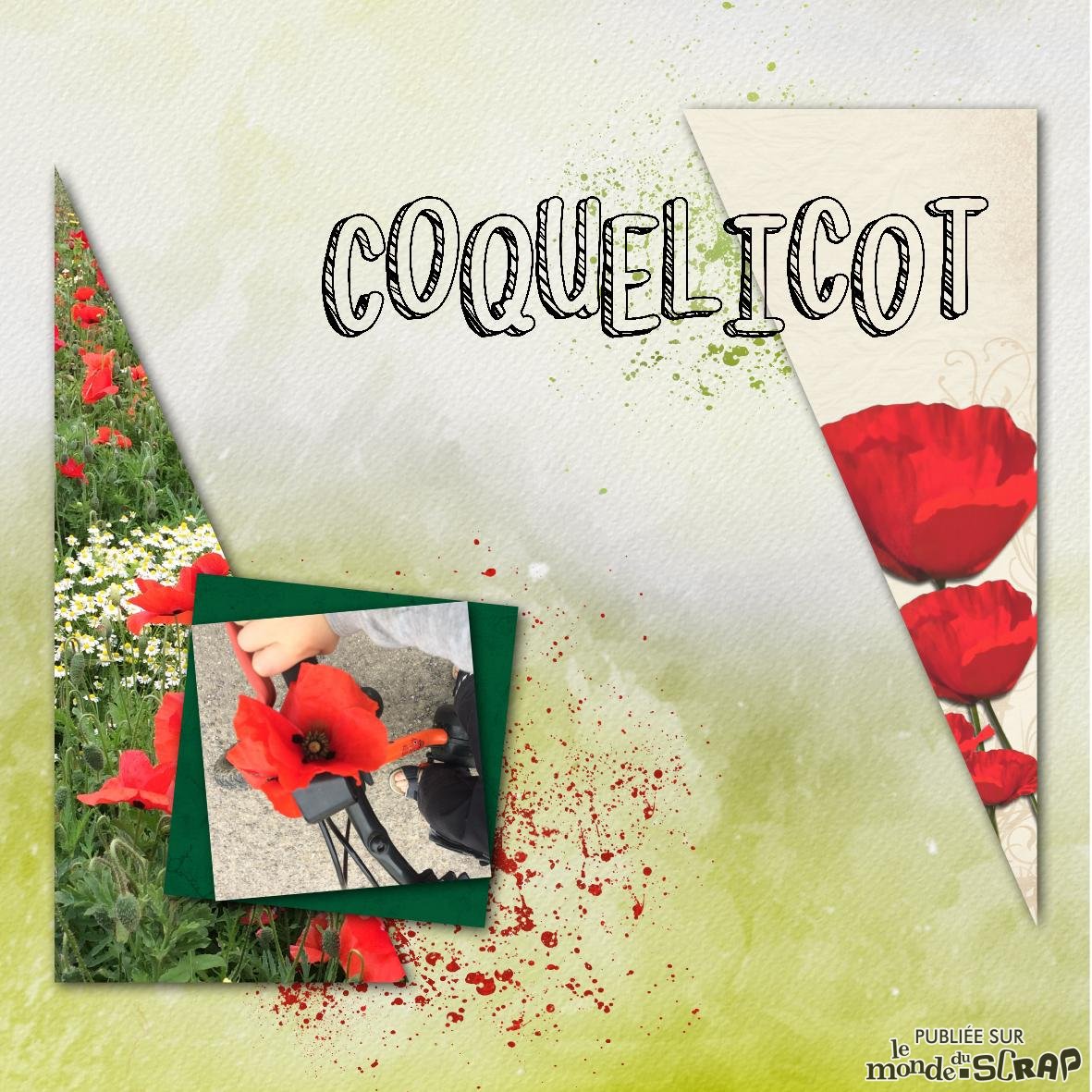 Résultat de la dictée