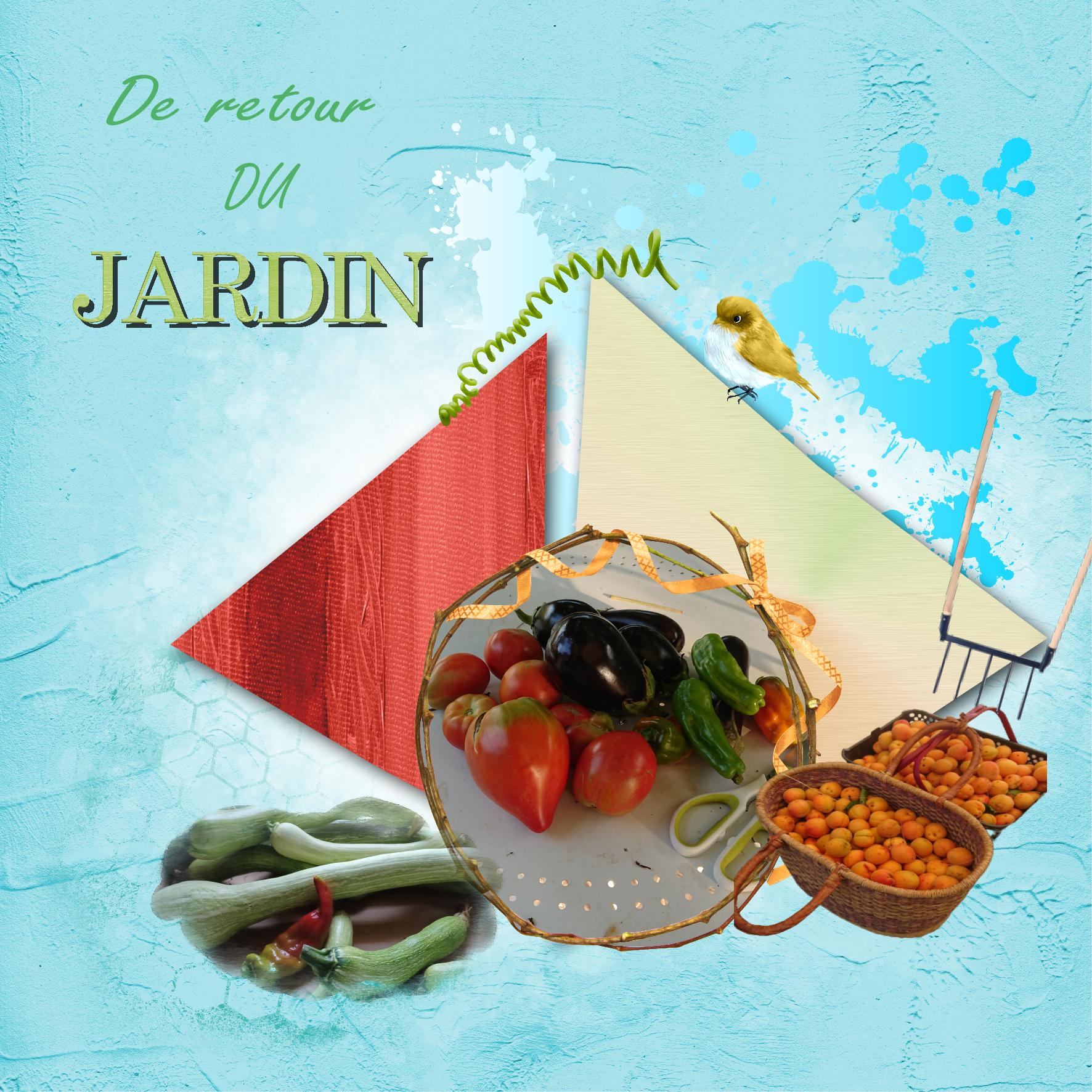 retour du jardin.jpg