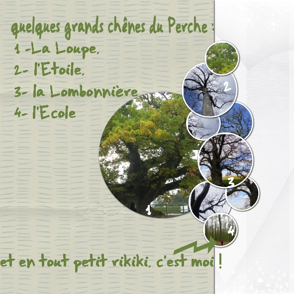 retour en promenade dans mes souvenirs !