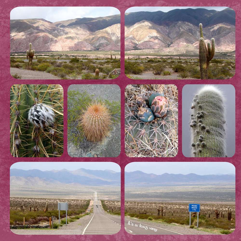 Retour vers Salta
