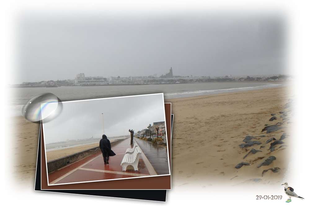 retour_de_balade________