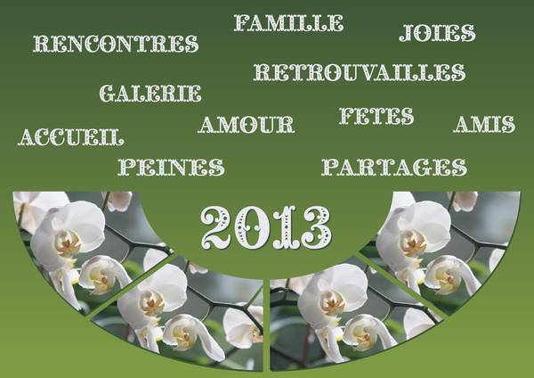 RETROSPECTIVE ANNEE 2013